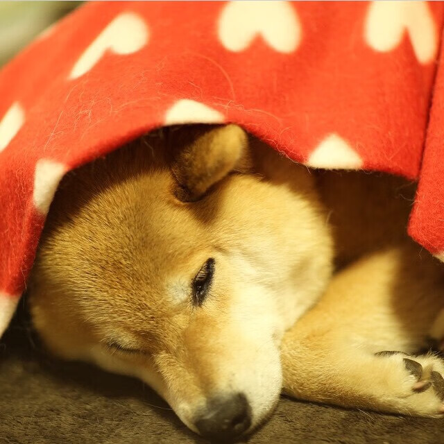 独舞绿茵，当莱奥成为马德里竞技对阵丹麦的唯一叙事