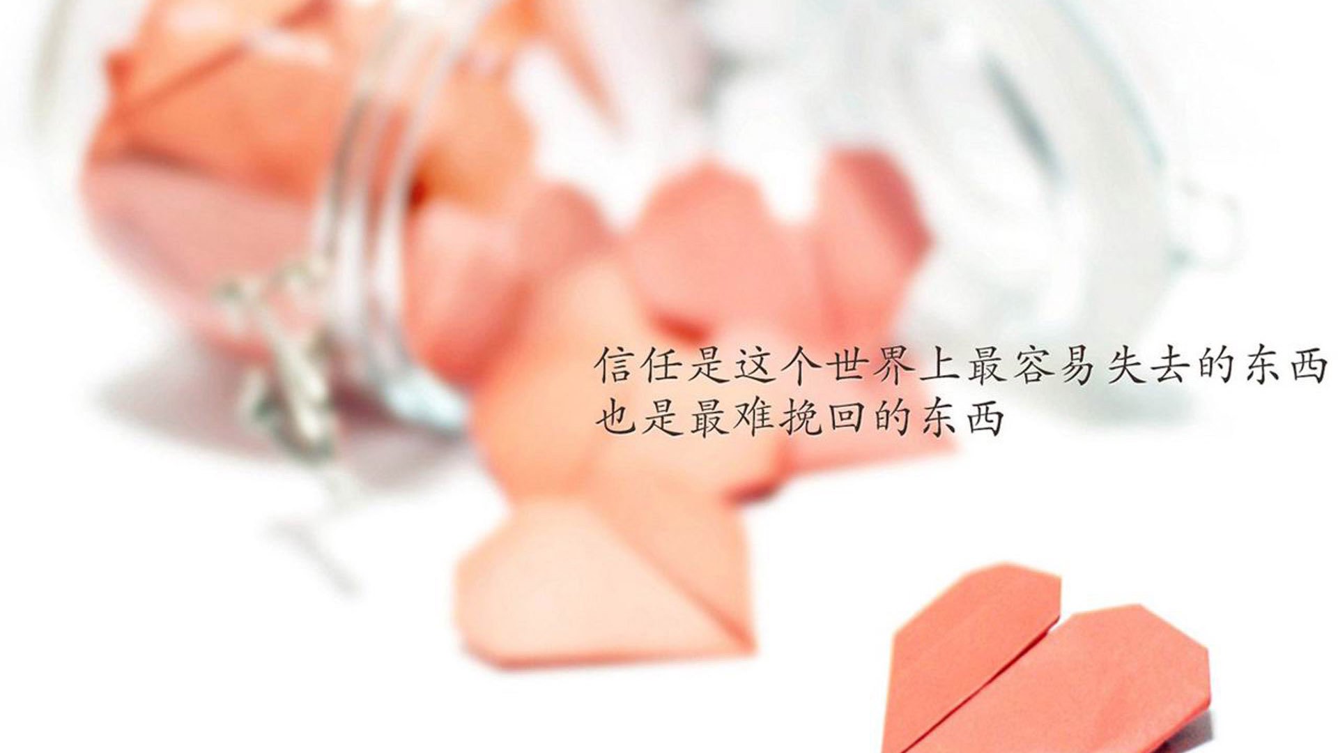 世纪跨界,当紫金军团鏖战辽宁铁骑,塔图姆压力下的破茧成蝶