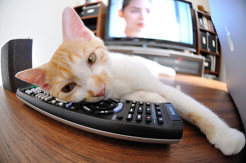 雷火电竞网址-欧冠之夜的双面叙事，特奥的加冕礼与摩洛哥的坚韧诗篇