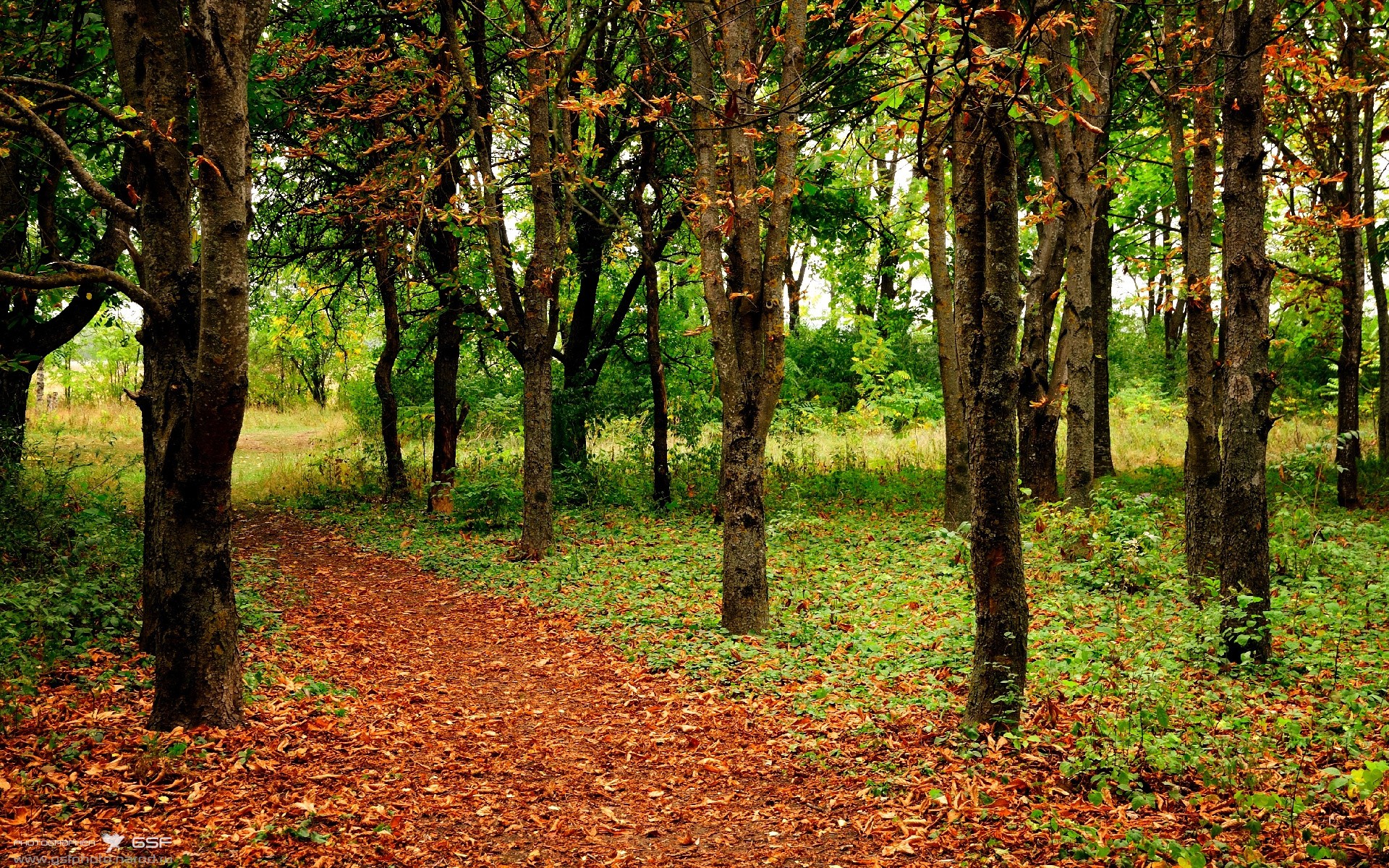 发射！广东队火箭式强势晋级，点燃奥运周期关键战焦点
