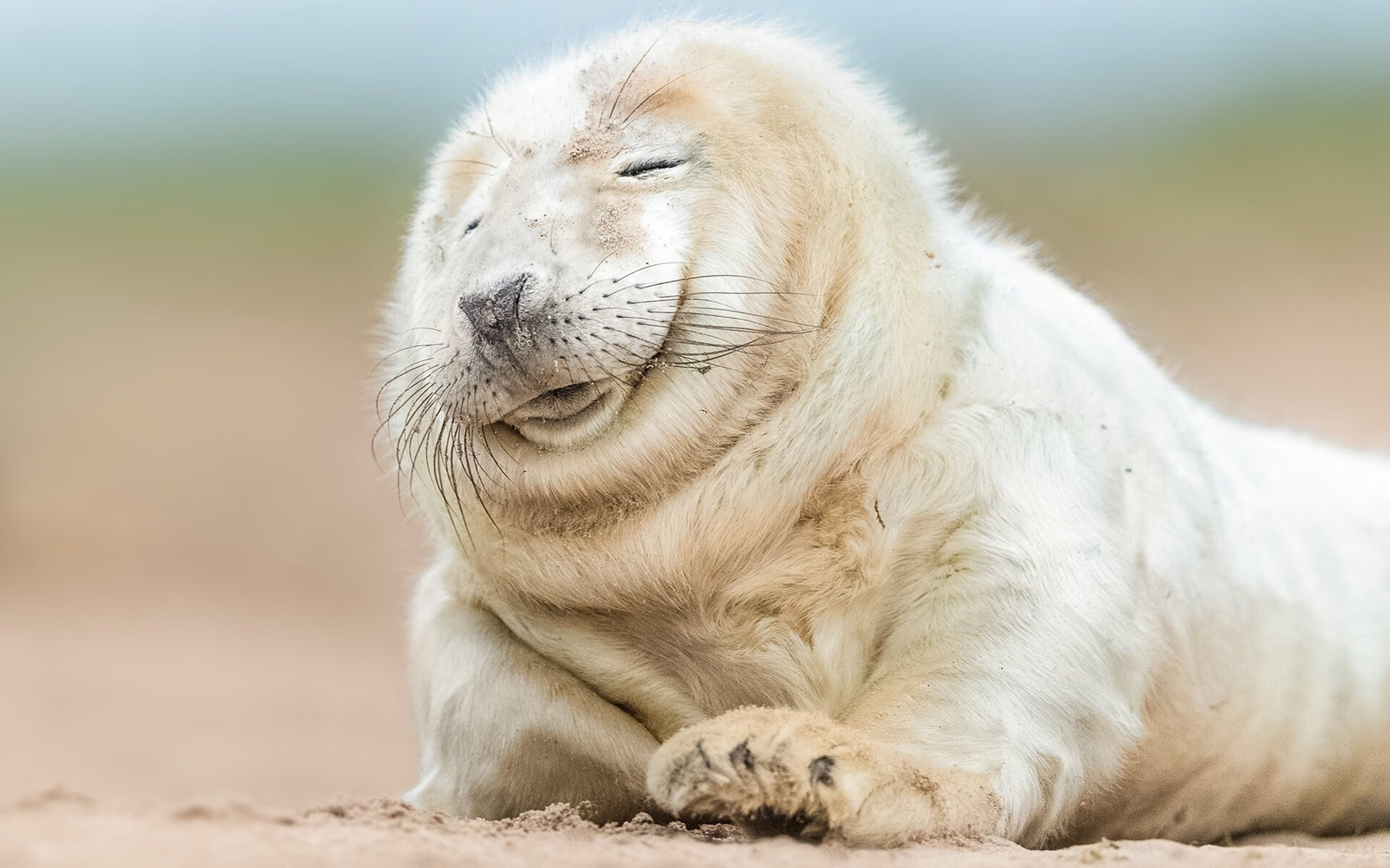 伦纳德双刃出鞘，骑士精密战术如何将吉林队锁进钢铁牢笼