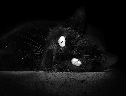 欧冠半决赛之夜,武切维奇用篮球征服了足球的圣殿