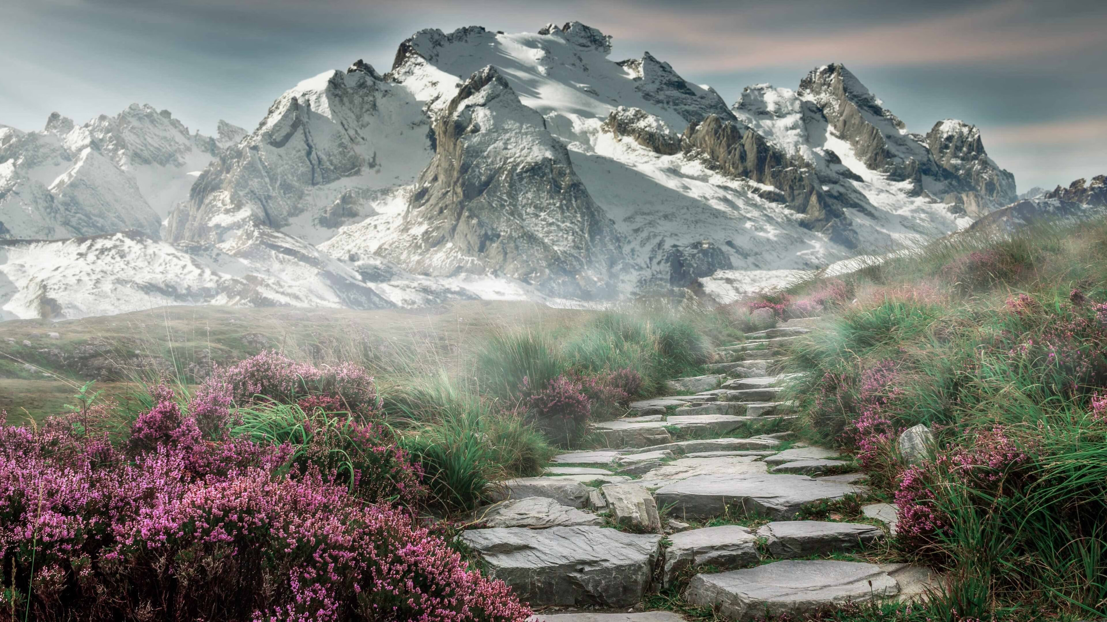 唯我独行，当全世界遗忘时，武切维奇用绝杀刻下大场面先生之名