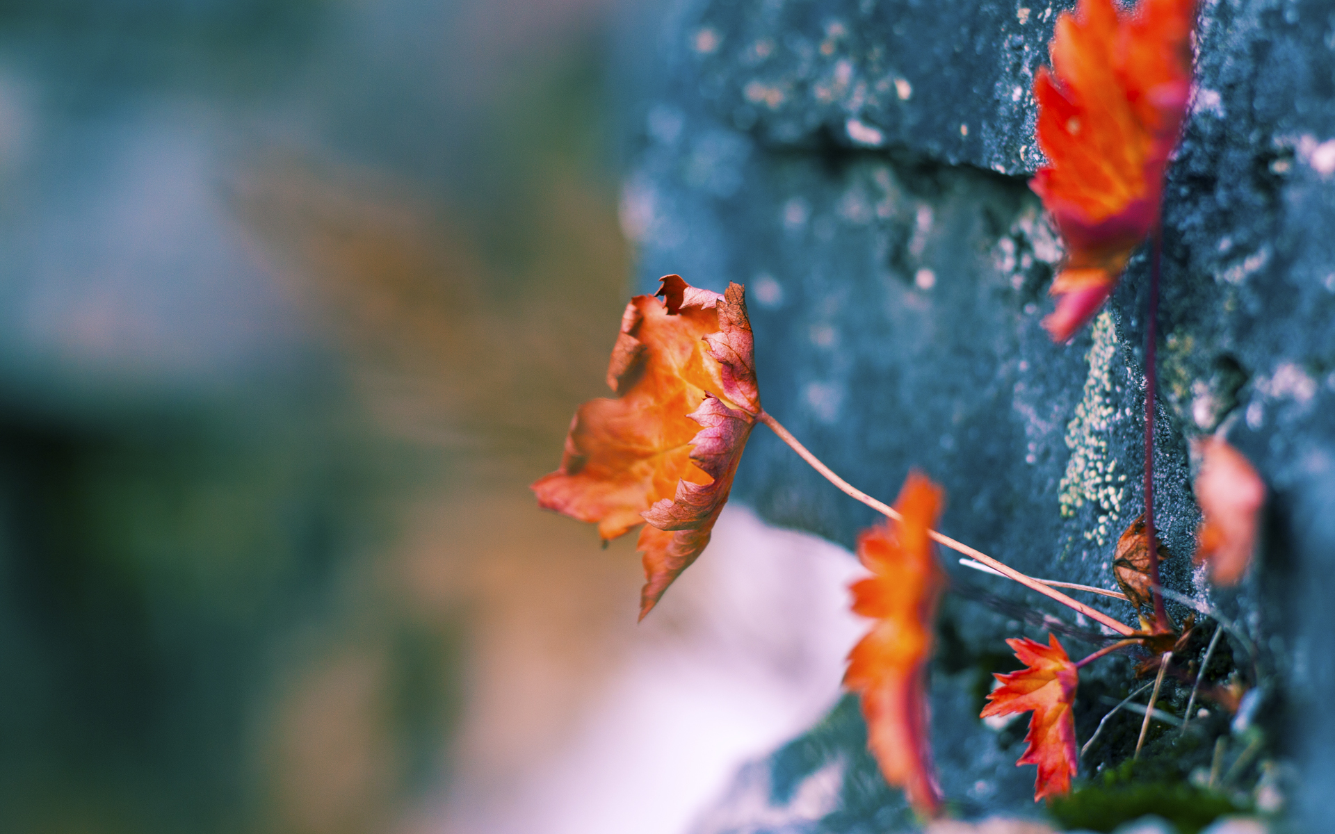 雷火电竞官网-凡尔赛防线，阿劳霍在德甲争冠夜的钢铁统治，诠释何谓一夫当关