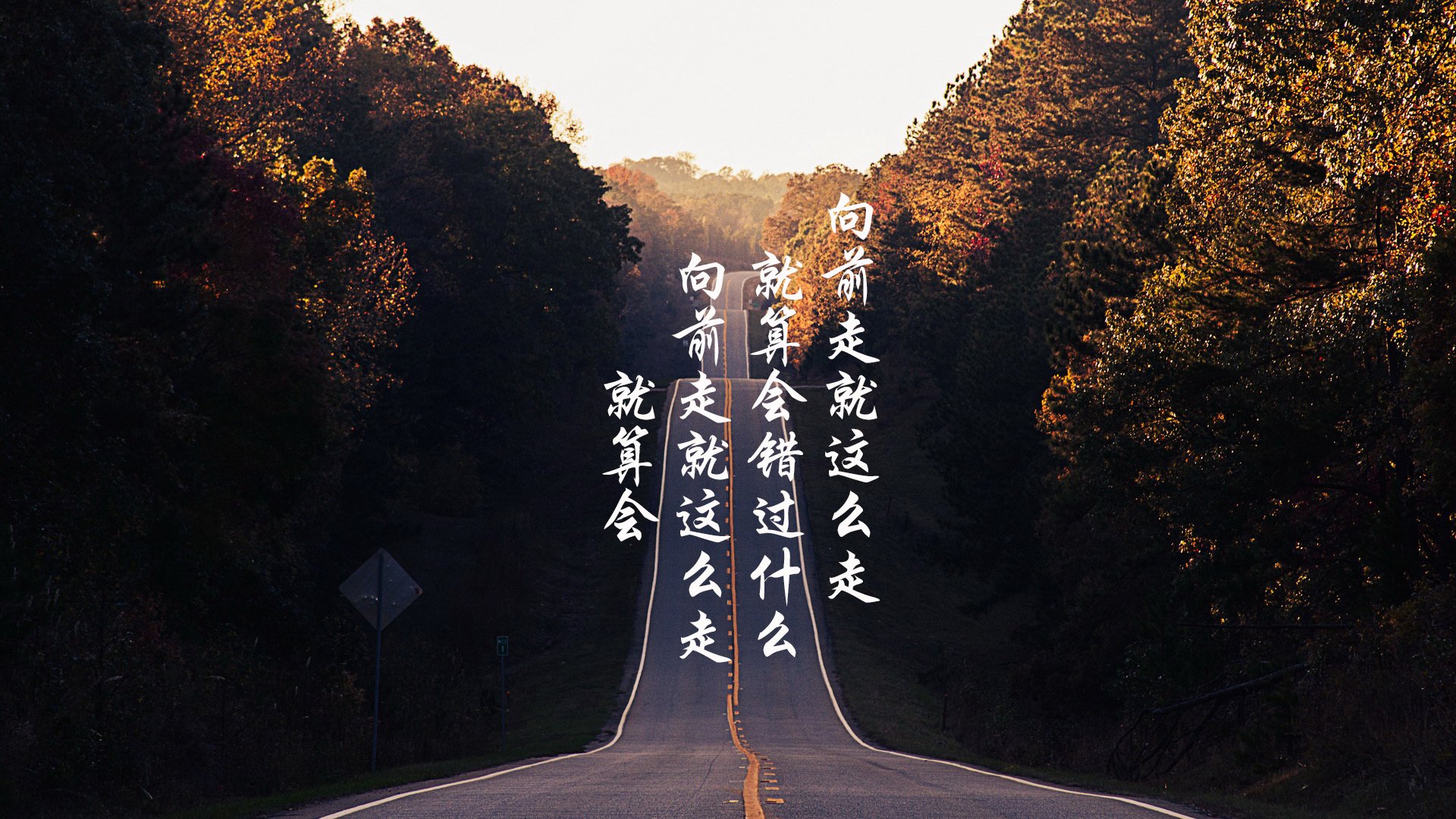 赛道与球场的争冠交响，从F1年度焦点战看森林狼如何强势驾驭胜局