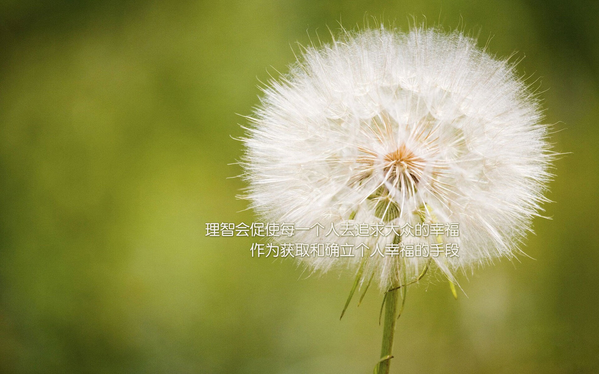 雷火电竞入驻-当NBA总决赛遇见国际赛场，希腊式团队篮球如何击溃厄瓜多尔孤星战术