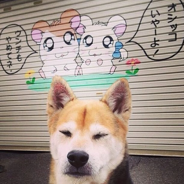 雷火电竞简介-压倒性风暴与无声指挥家，上海队的保罗时刻如何定义现代篮球美学