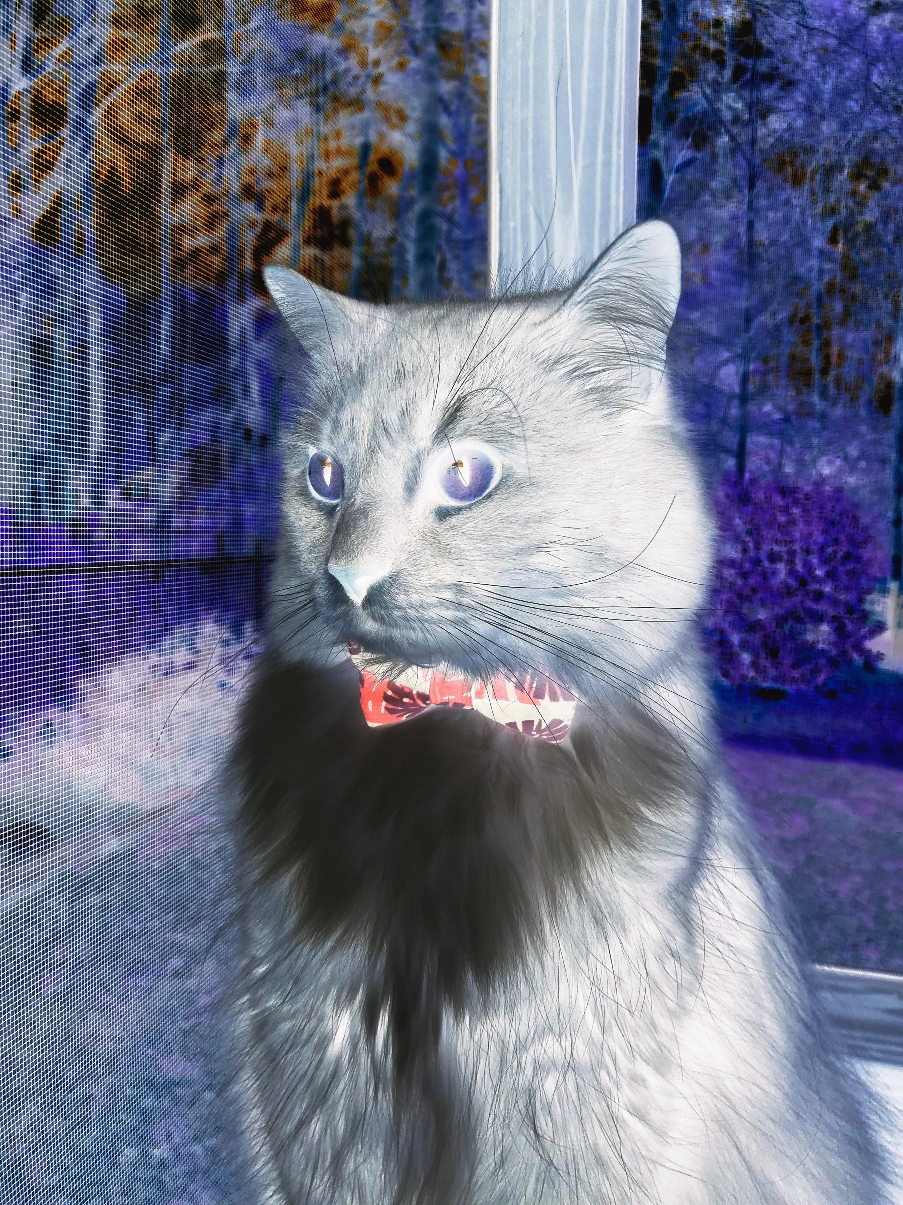 雷火电竞-里程碑之夜，当福克斯击穿篮网，步行者的数据绞肉机轰然启动