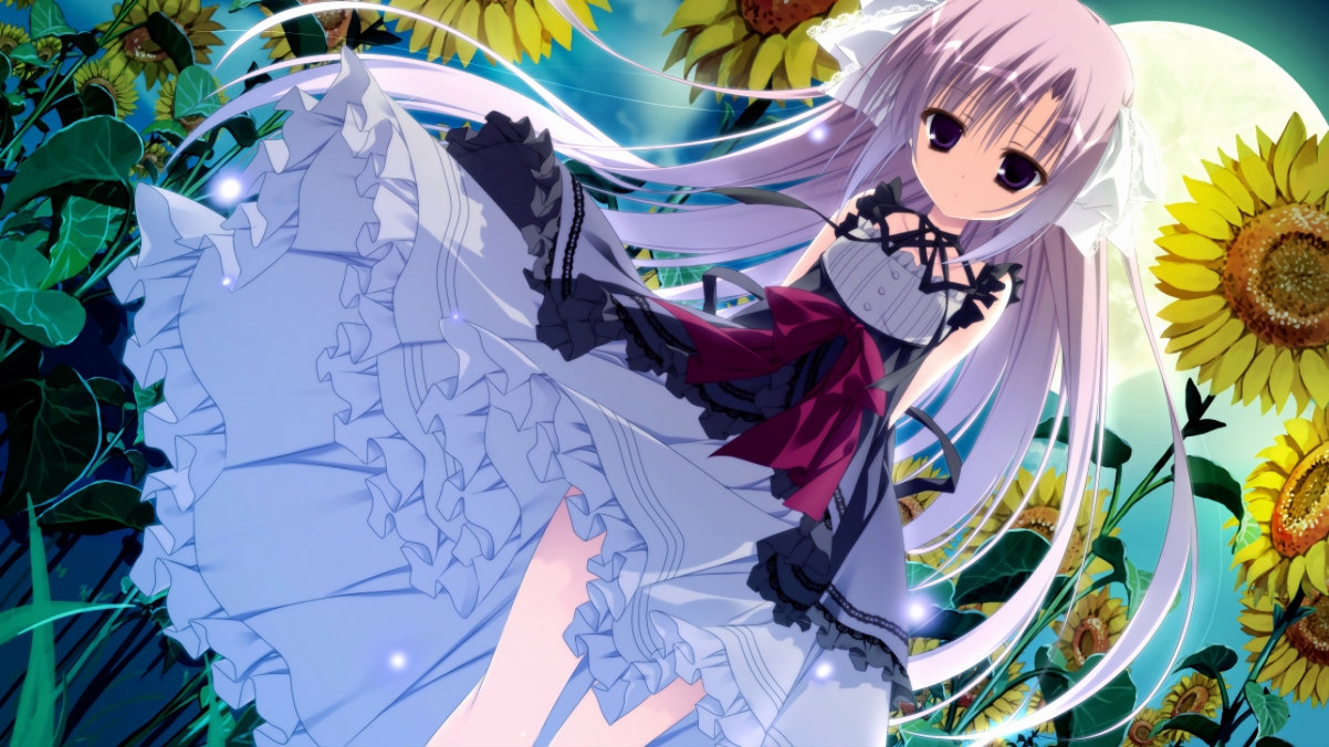 从达拉斯到马尼拉，当独行侠的火种点燃世界杯—霍勒迪的2026封神之路