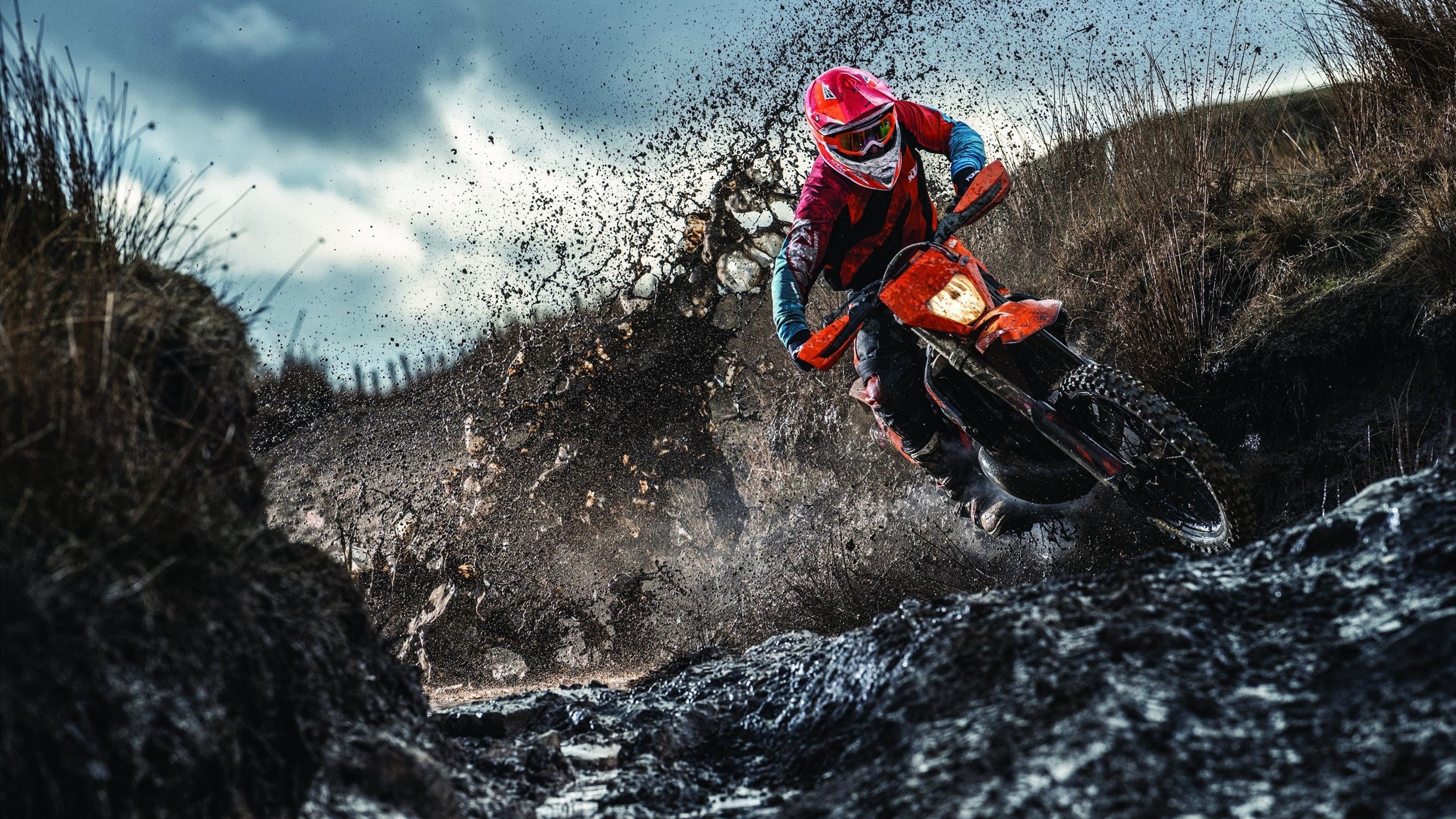 终局之弈，帕尔默的无声裁决