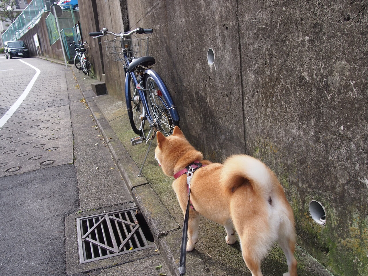 雷火电竞合作-逆袭的序章，久保建英一球封神，那不勒斯强行终结拜仁王朝悬念