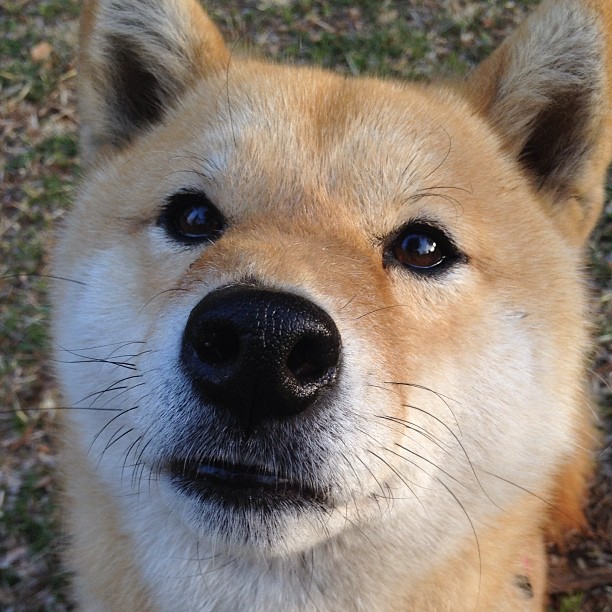 东决关键战之夜，奥利维耶以全场为画布施放篮球魔法