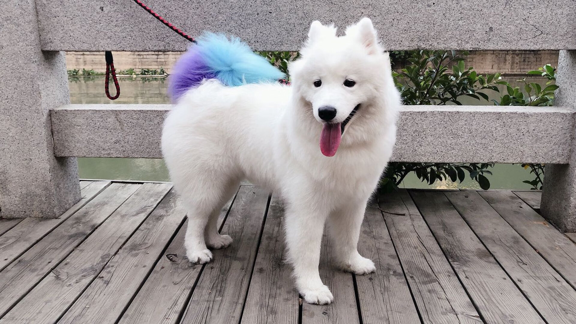 雷火电竞合作-跨界约战引爆赛场，爱德华兹59秒定乾坤，凯尔特人闪电战击溃浙江队