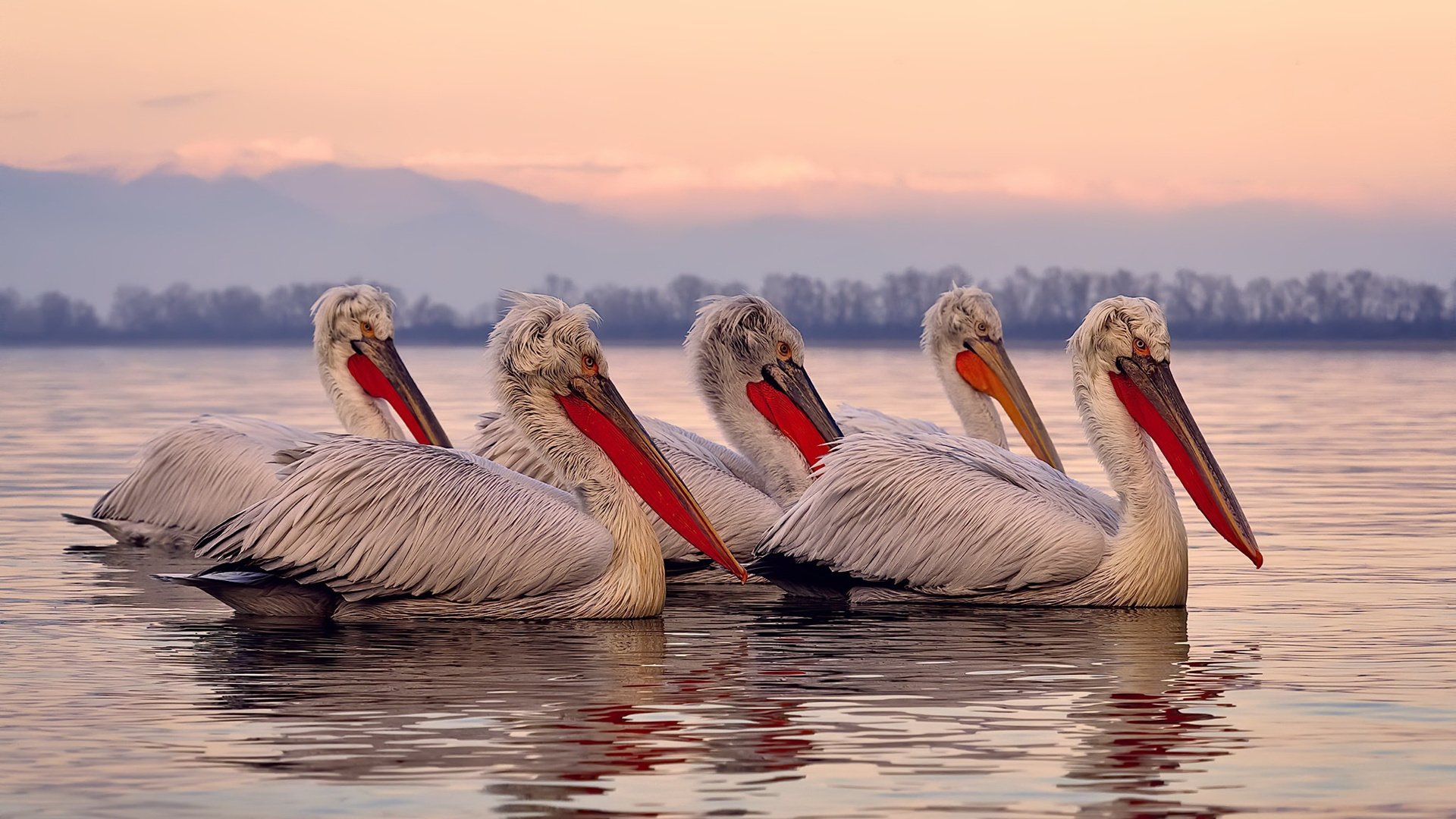 雷火电竞网址-跨界征服，萨卡的精准拳击与塞内加尔的团队冲锋