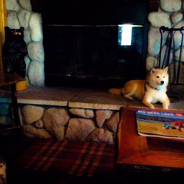 雷火电竞充值-双塔围城，戈贝尔攻防两端的绝对统治，如何将雷霆的青春风暴锁死在决胜局？