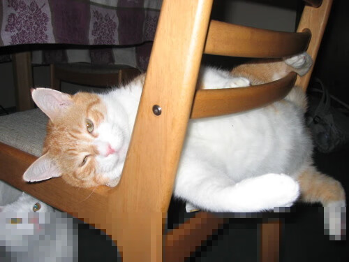 跨洋攻坚战，辽宁绝境逢生，西亚卡姆一球定乾坤