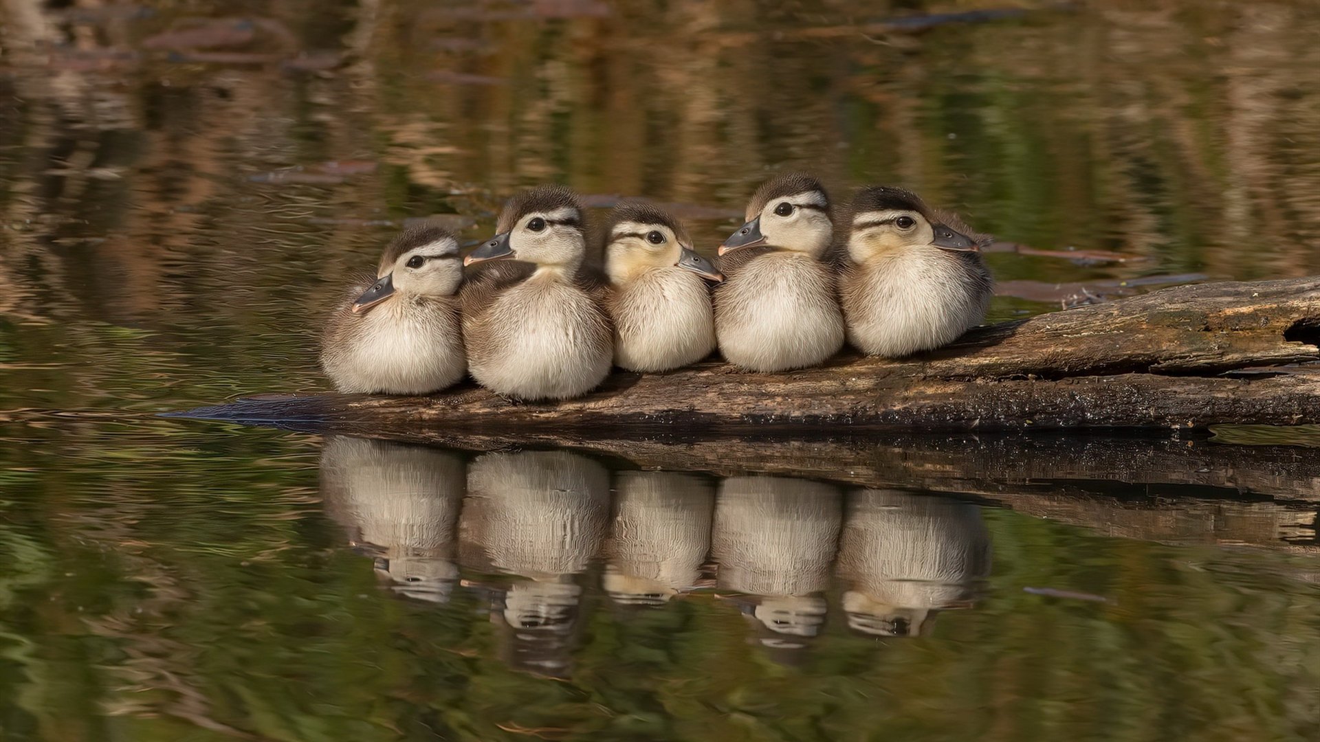 雷火电竞简介-金戈铁马！奥运关键战之夜，金玟哉筑起唯一性长城