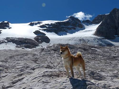 双线爆发！塔图姆爆砍50分创纪录之夜，浙江队史诗逆转，巅峰战加时胜新疆
