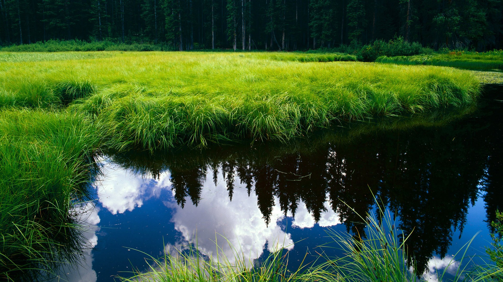 长夜鏖战映孤星，戴维斯生涯夜托起紫金王朝