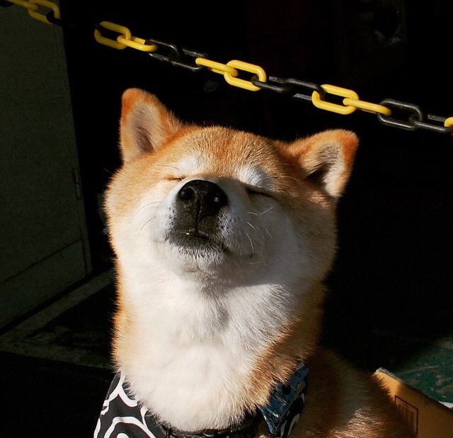 单节24-0风暴,步行者惊天逆转背后,约基奇为何成为关键先生?