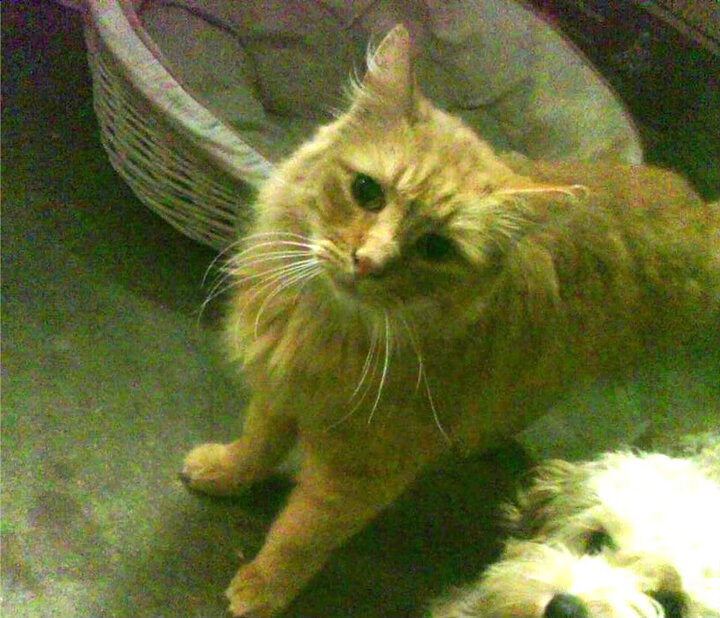 雷火电竞充值-范弗利特的完美公式，当唯一性成为唯一答案