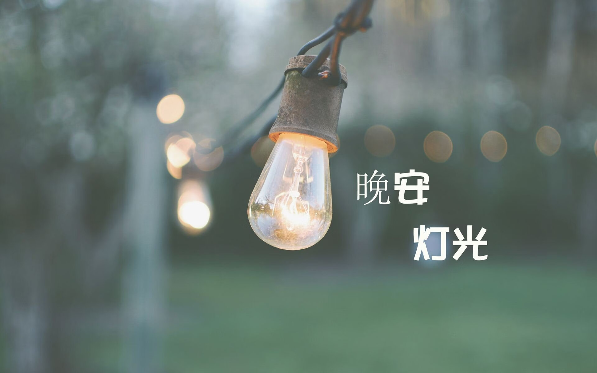 唯一性的悖论，当荷兰的逆转史诗，刻上库尔图瓦的孤星之名